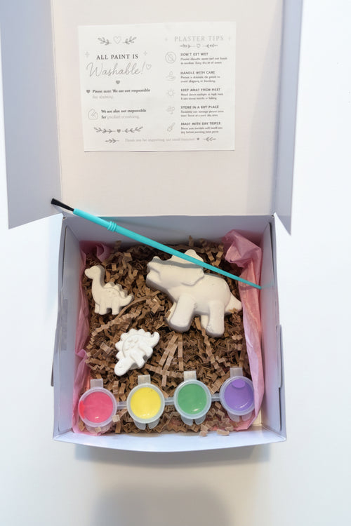 Dinosaur-Paint Kit