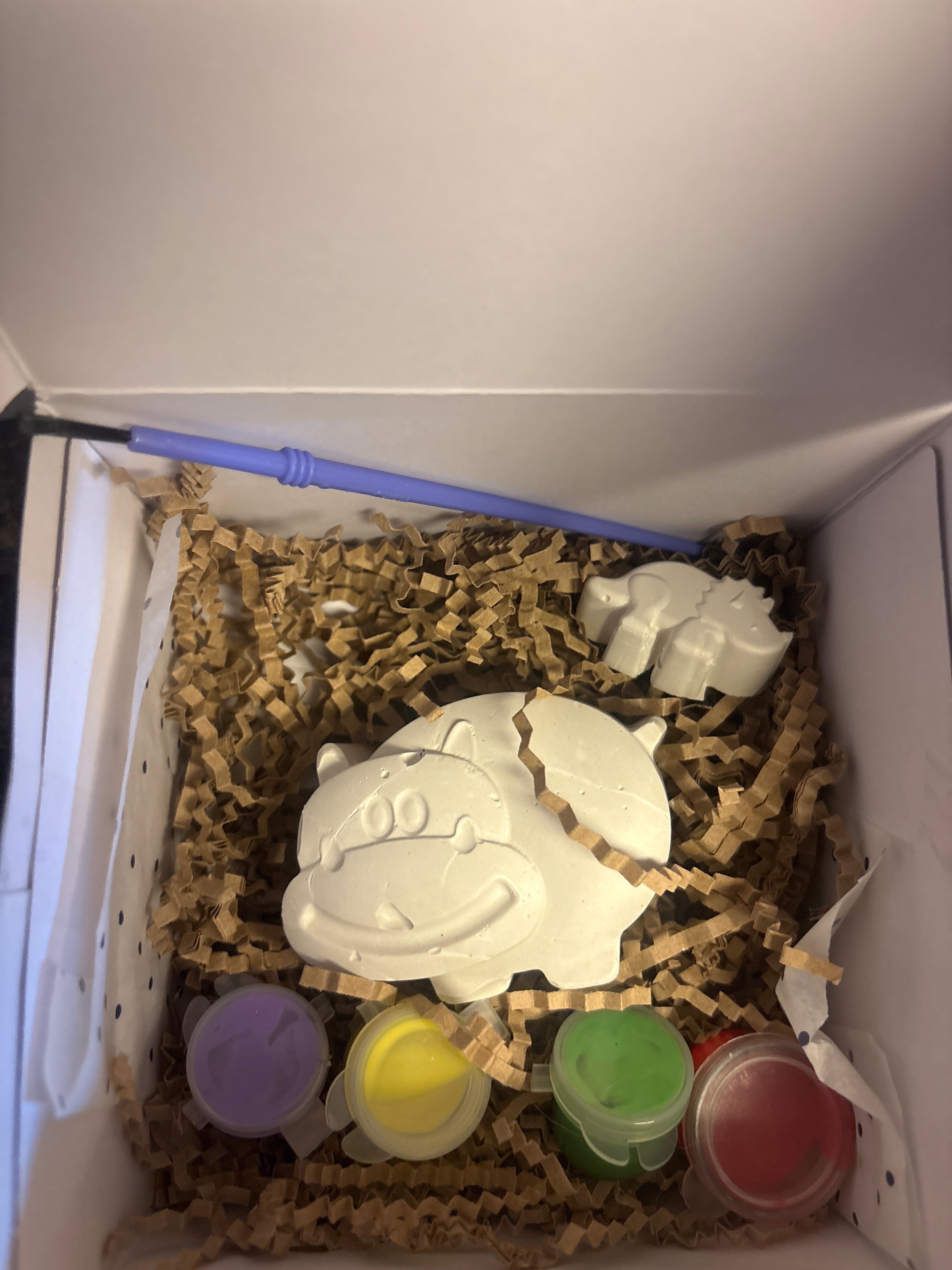 Animal Party Package