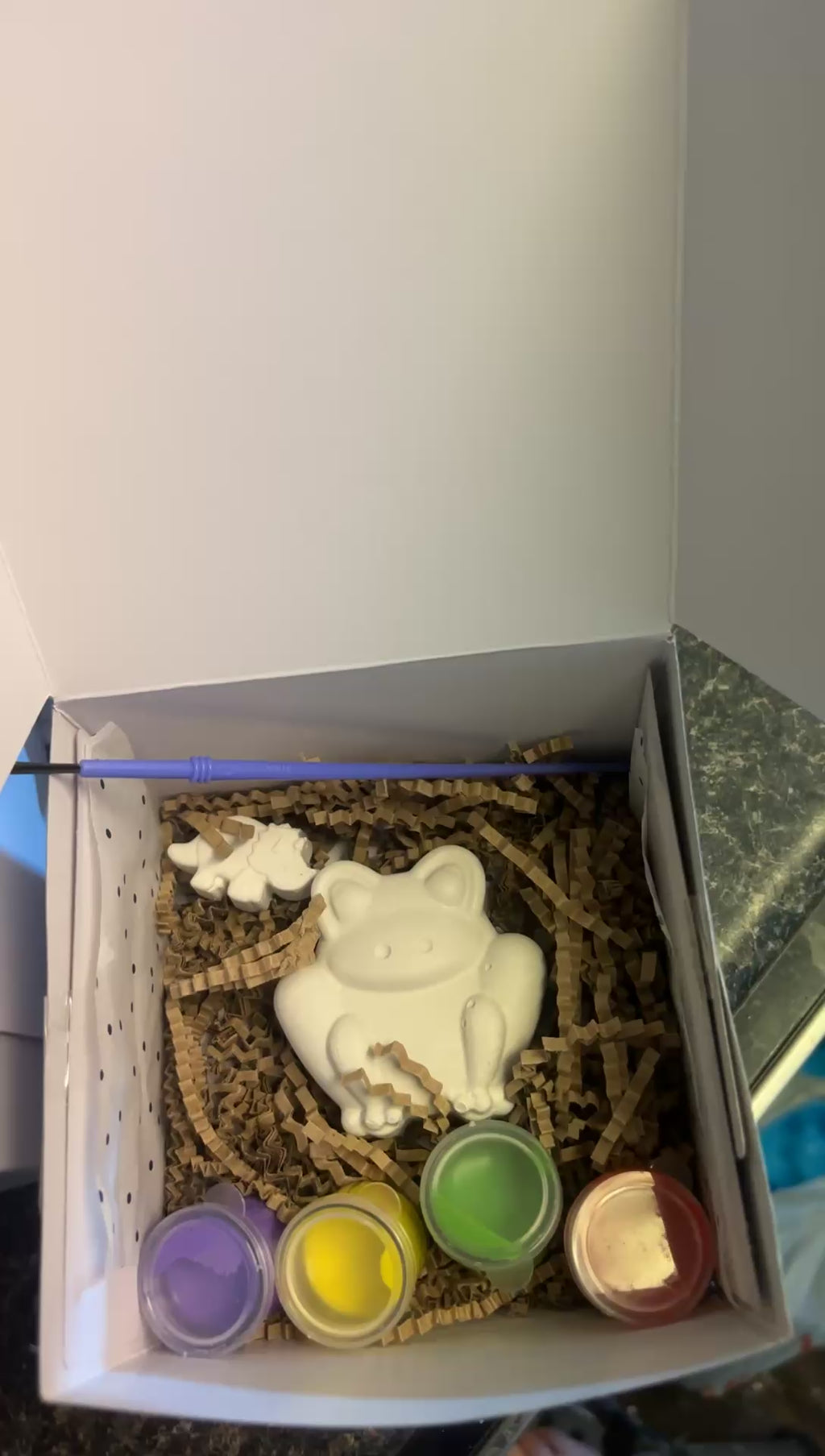 Animal Party Package